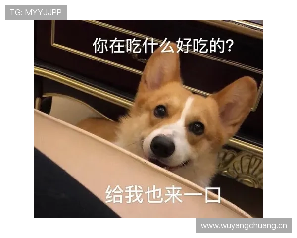 常园家的狗都比我会花钱