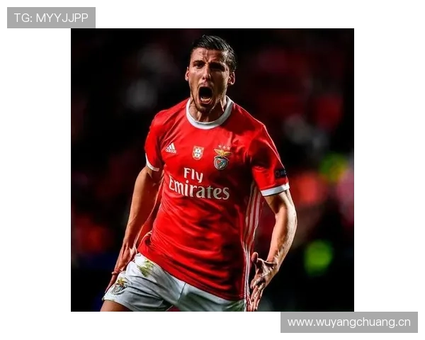 范戴克与鲁本迪亚在防线组织下形成稳定分散结构